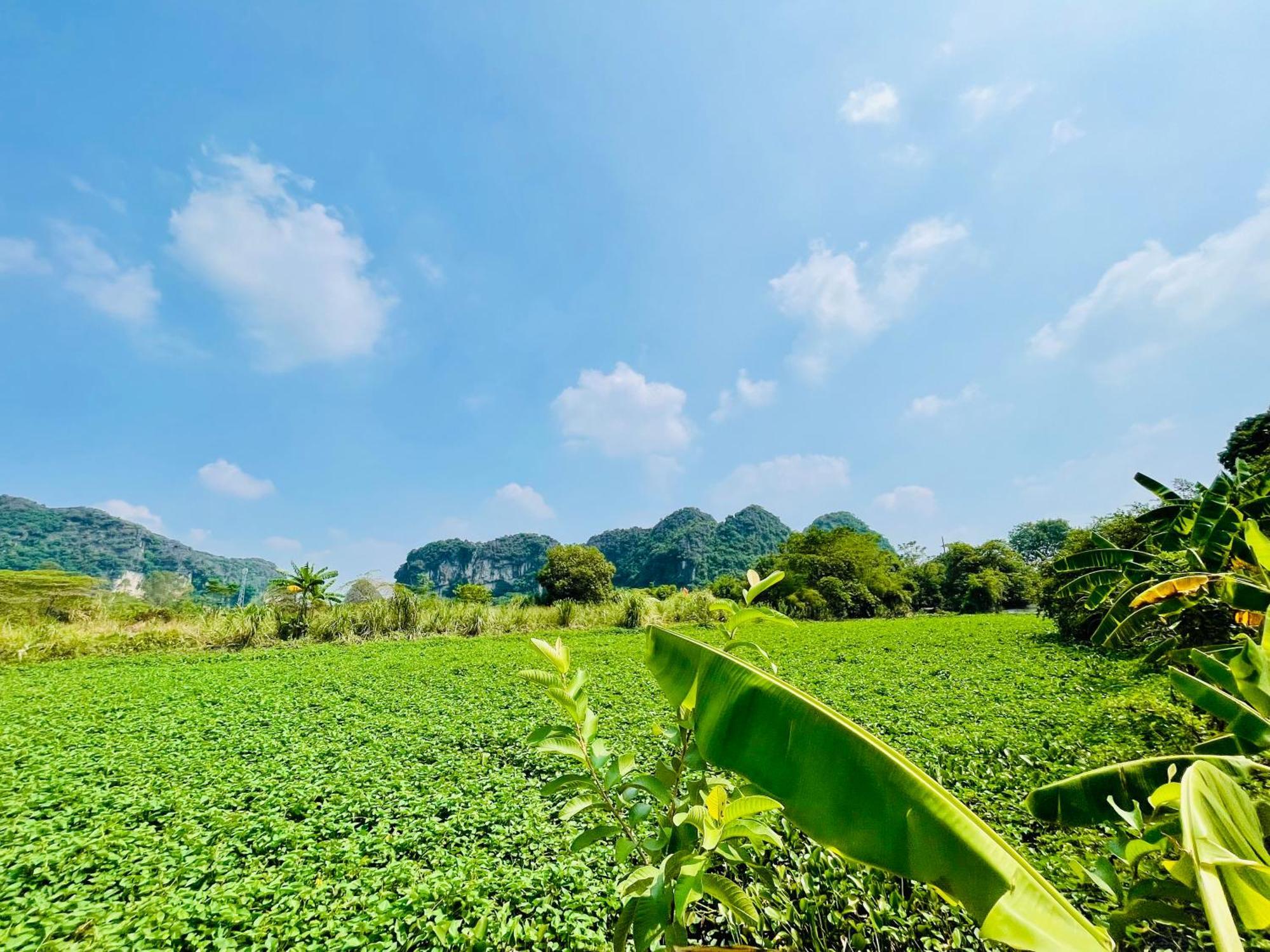 Trang An Lotus Lake Homestay นิญบิ่ญ ภายนอก รูปภาพ