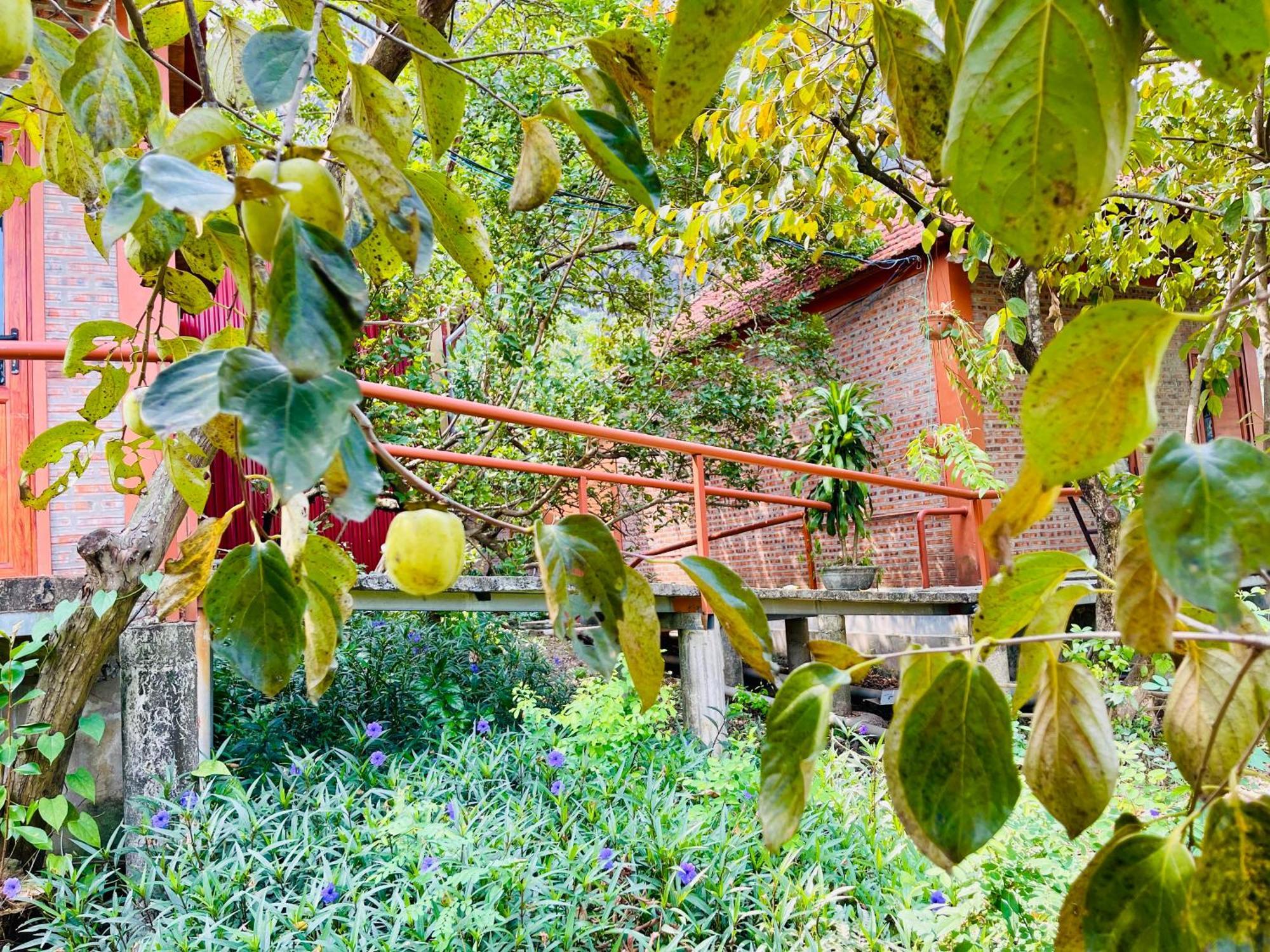 Trang An Lotus Lake Homestay นิญบิ่ญ ภายนอก รูปภาพ