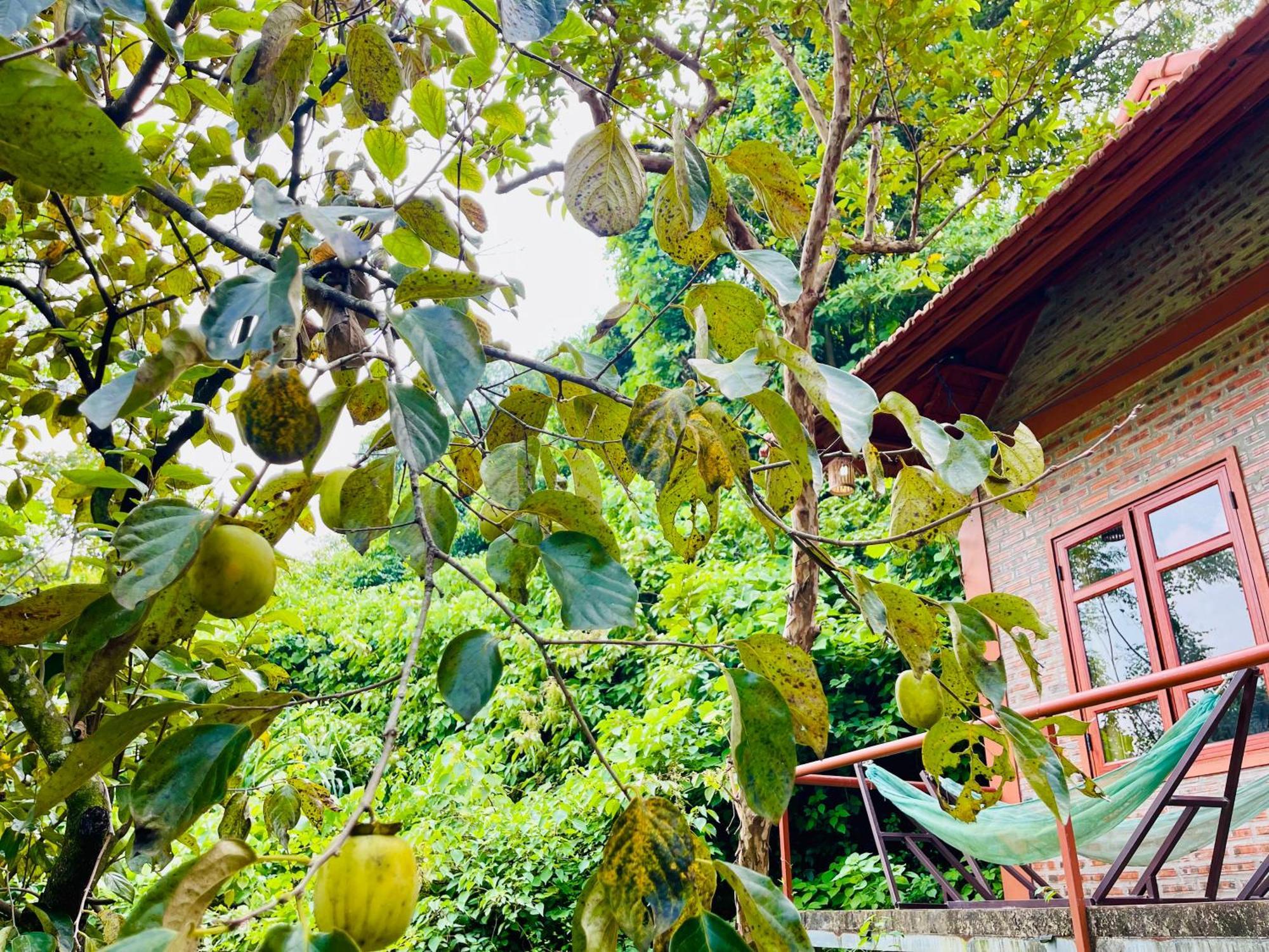 Trang An Lotus Lake Homestay นิญบิ่ญ ภายนอก รูปภาพ