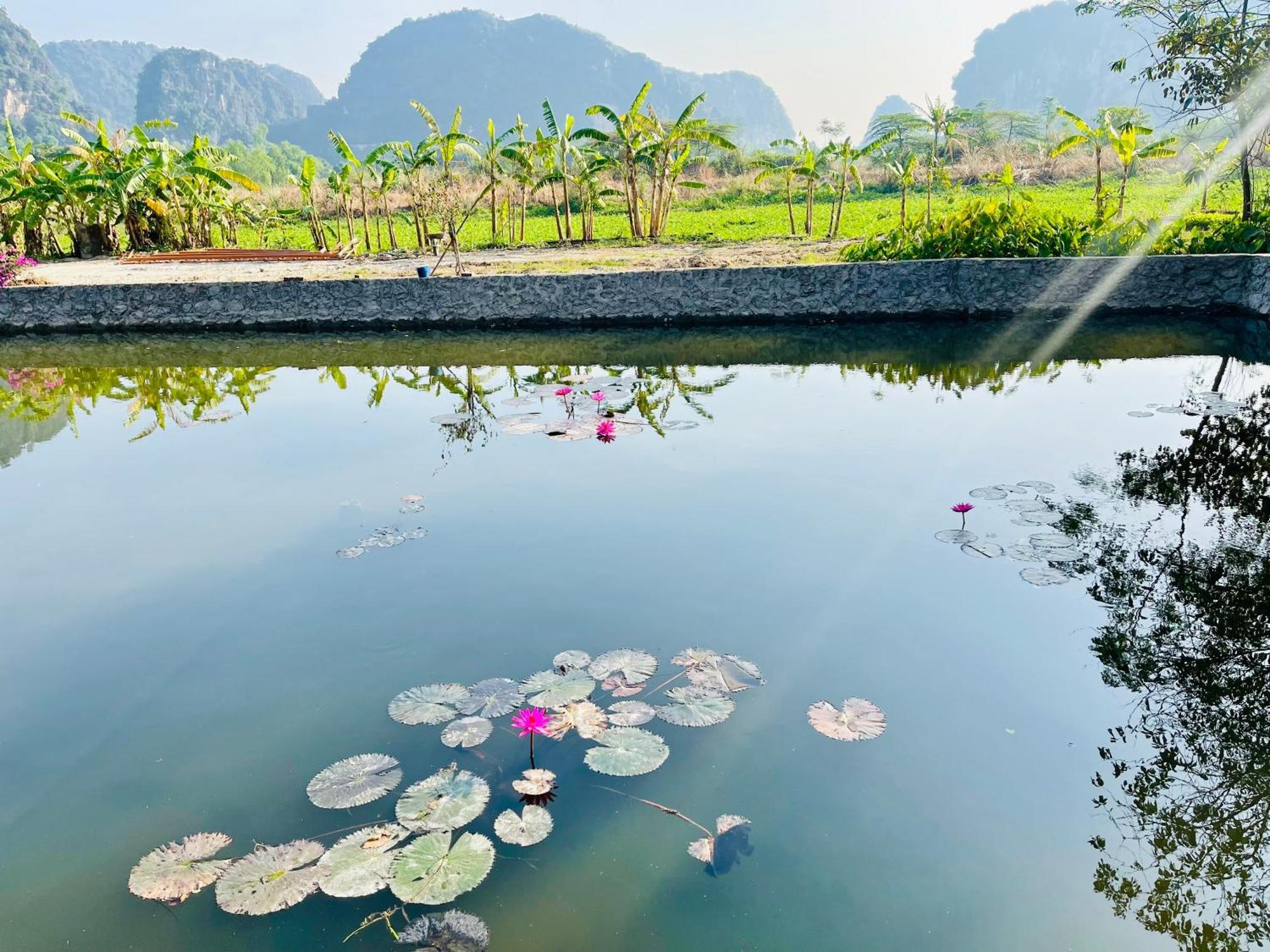 Trang An Lotus Lake Homestay นิญบิ่ญ ภายนอก รูปภาพ